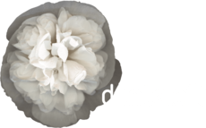 Dentaloft